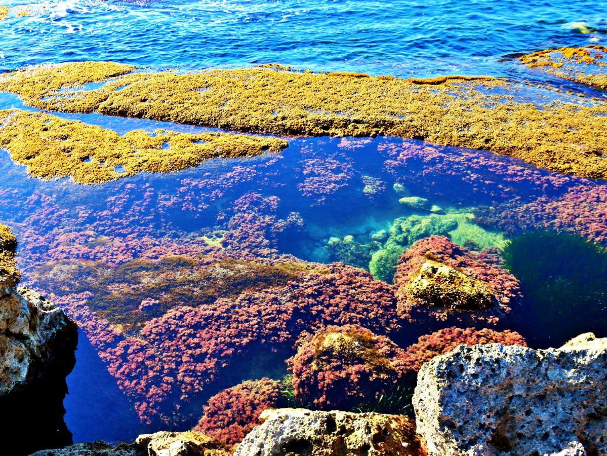 Anemone Della Scala Dei Turchi Apartamento Realmonte Exterior foto